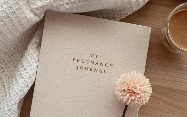 pregnancy journal